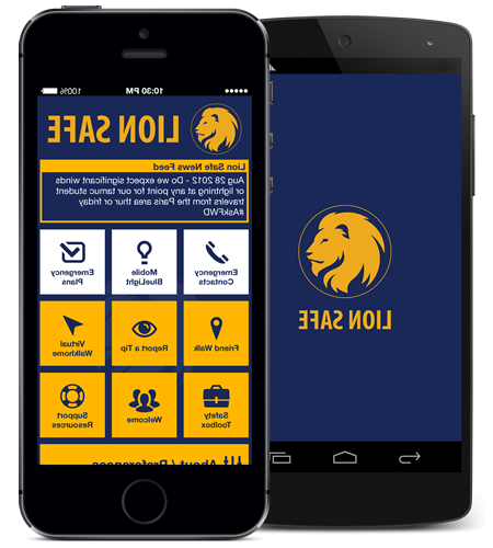 image of mobile phones with the Lion Safe app pulled up